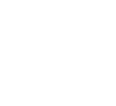 SI